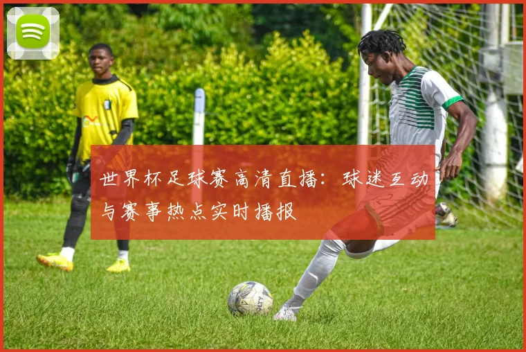 世界杯足球赛高清直播：球迷互动与赛事热点实时播报