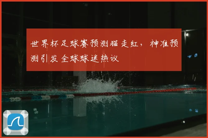 世界杯足球赛预测猫走红，神准预测引发全球球迷热议