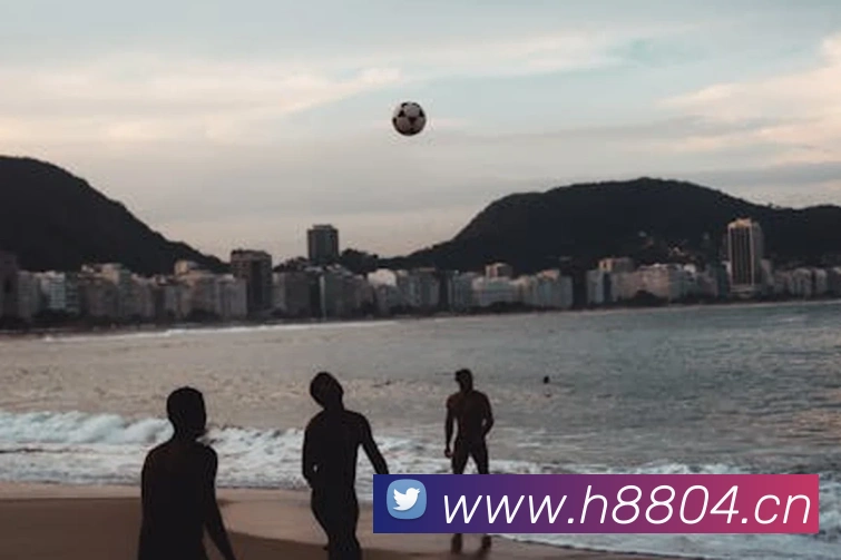 pg官网地址平台生态图